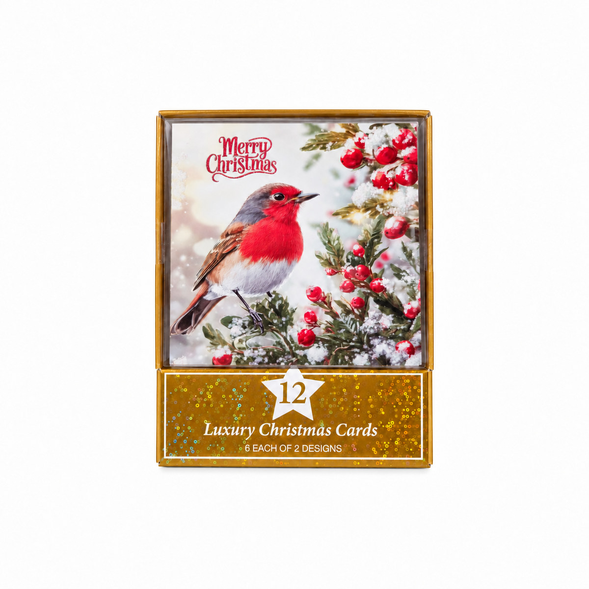 Robin & Santa Cards 12 Pack